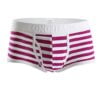 Striped Panties With Wide Belt All Products - Underwear & Thongs For Men