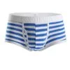 Striped Panties With Wide Belt All Products - Underwear & Thongs For Men