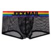Sexy Breathable Rainbow Band & Fishnet Pants All Products - Underwear & Thongs For Men