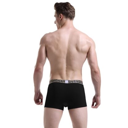 Men’s Light Breathable Boxers All Products - Underwear & Thongs For Men