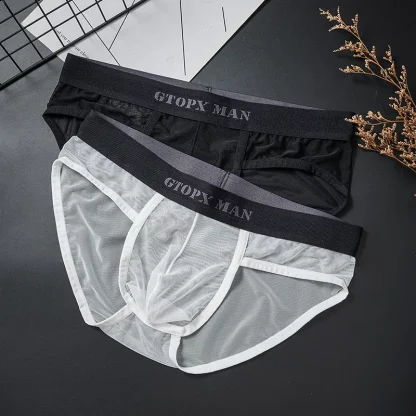 Sexy Mens Sheer Elegance Mesh Briefs All Products - Underwear & Thongs For Men