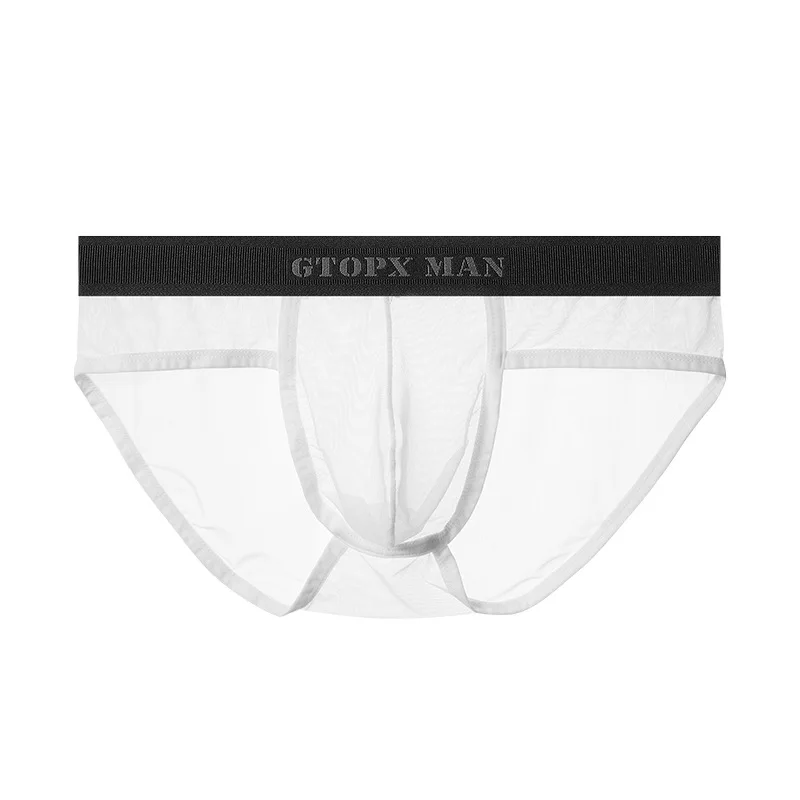 Sexy Mens Sheer Elegance Mesh Briefs All Products - Underwear & Thongs For Men